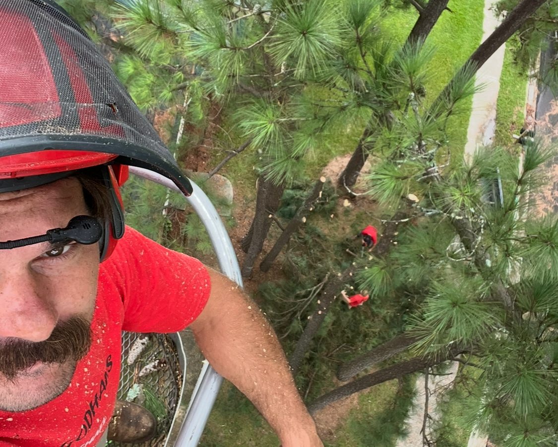 Aerial selfie of arborist with ground crew below during tree removal