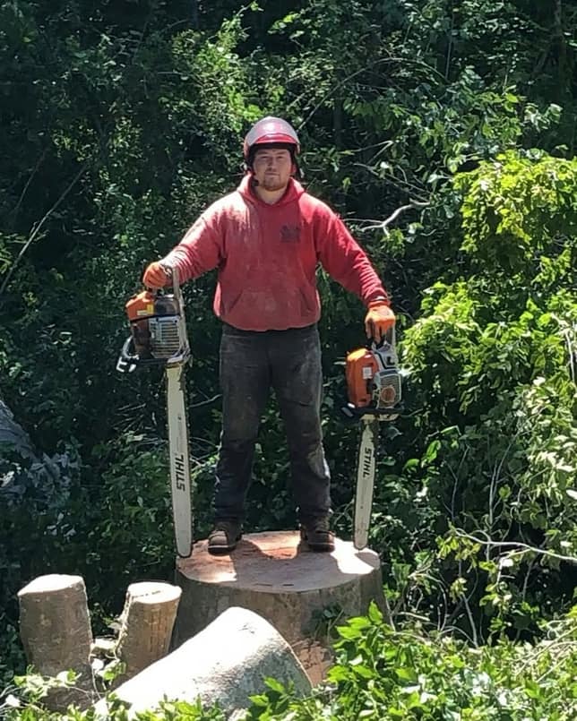 Steven, owner of Allied Tree & Land Pros, on a freshly cut stump with two chainsaws.