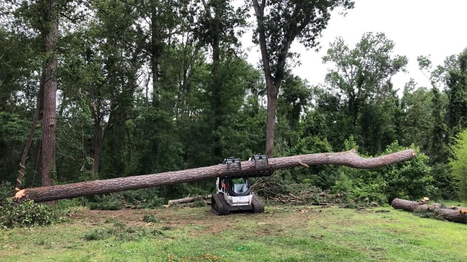 Compact track loader carrying a large failed pine trunk during storm cleanup.