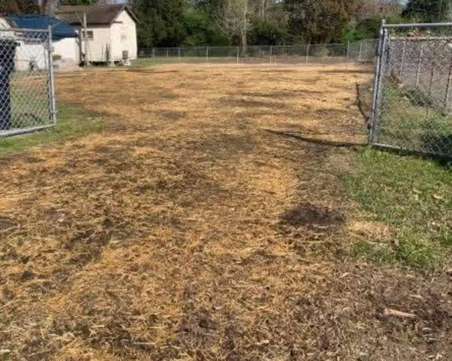 Yard cleared and restored after removal and stump grinding